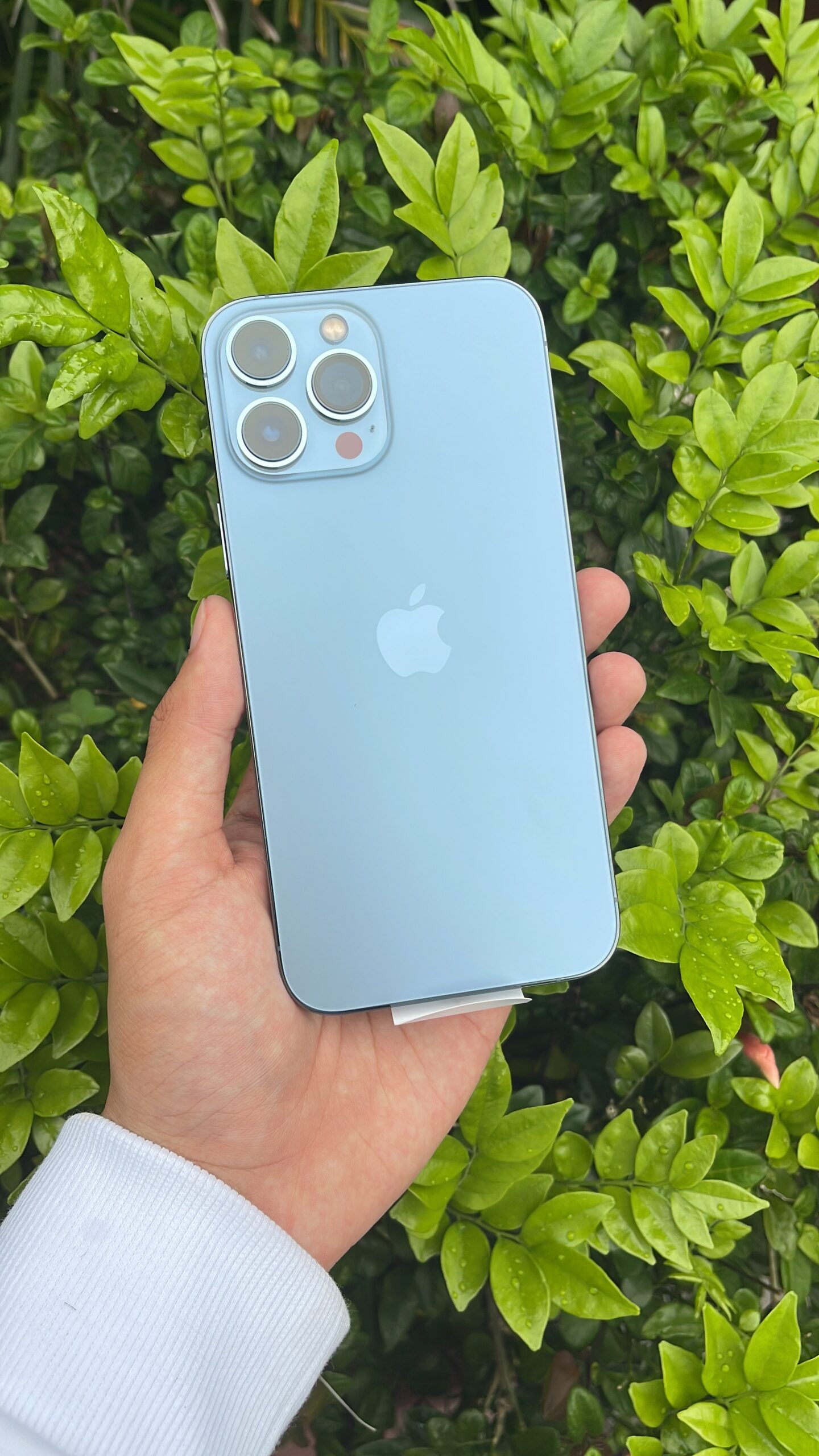 IPhone 13  Pro Max (128GB)